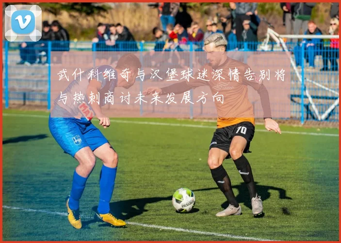 武什科维奇与汉堡球迷深情告别将与热刺商讨未来发展方向